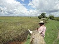 Imagen de apoyo de  Se crean los Programas de Desarrollo con Enfoque Territorial PDET