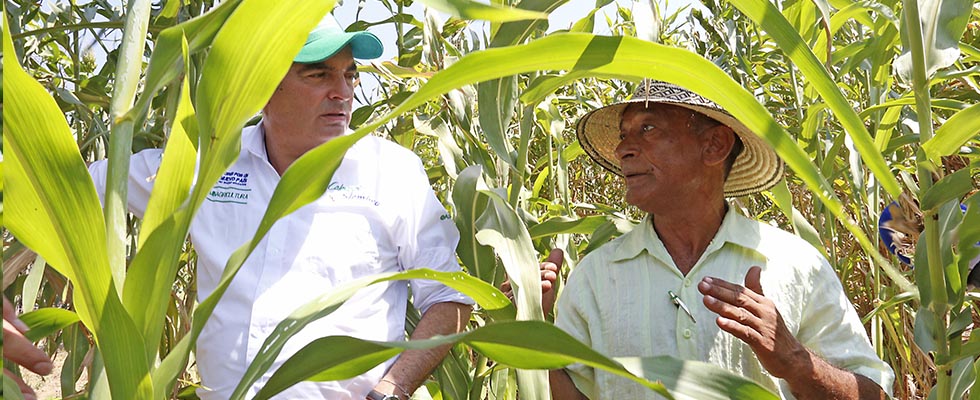 Imagen de apoyo de  Con debilitamiento de El Nio se reactivaran siembras afectadas por sequia