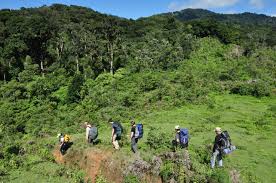 Imagen de apoyo de  Nuevas guias de buenas practicas en sostenibilidad para prestadores de servicios en turismo de naturaleza