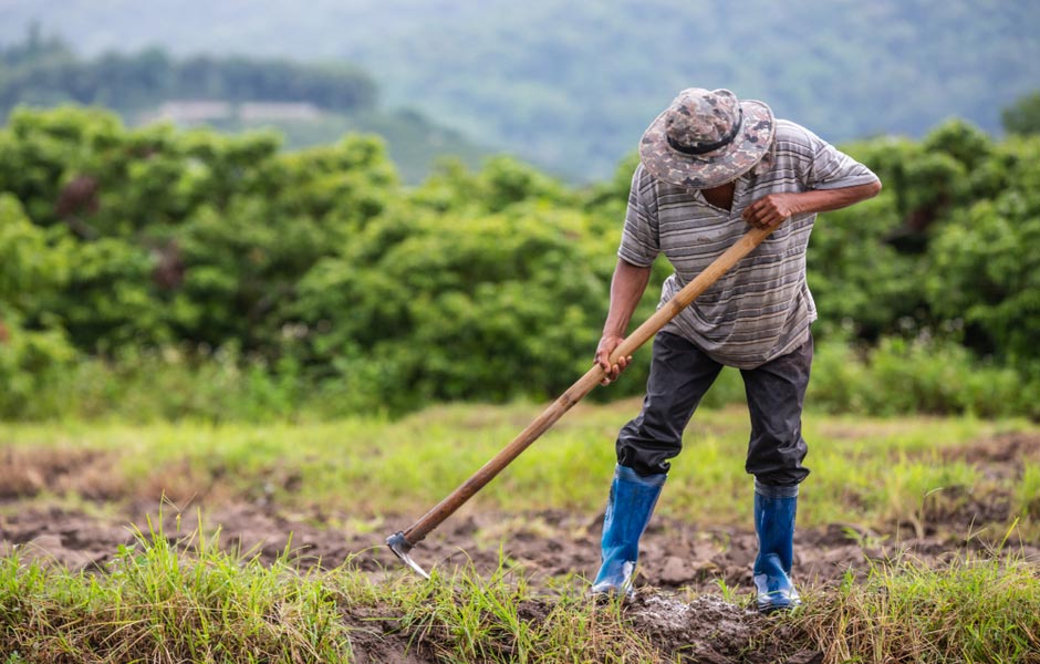 Imagen de apoyo de  La Corte contribuye al cambio de patrones de exclusion y discriminacion que ha enfrentado la poblacion campesina aliada en la proteccion de la naturaleza