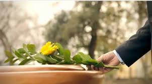 Imagen de apoyo de  Se presenta proyecto de ley para la creacion de un seguro exequial en caso de repatriacion de connacionales que fallezcan en el exterior