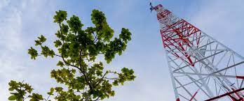 Imagen de apoyo de Se estabilizaran los servicios de telecomunicaciones en el Amazonas con una ruta de conectividad alterna de alta velocidad