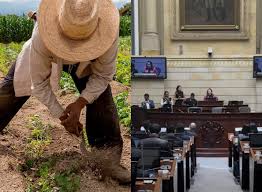 Imagen de apoyo de  Es aprobado el proyecto de ley de la Jurisdiccion Agraria y Rural en Comisiones Conjunta de Senado y Camara