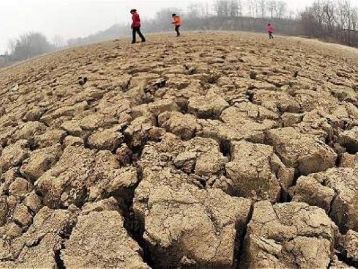 Imagen de apoyo de  La Ley de Accion Climatica es la constitucion ambiental de Colombia hacia la carbononeutralidad en el 2050