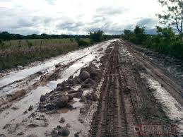 Imagen de apoyo de Procuraduria investiga presuntas irregularidades en contratos por cerca de 34000 millones para el mejoramiento de la via Yopal Orocue Casanare