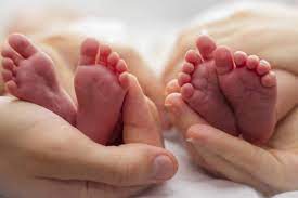 Imagen de apoyo de  Corte Constitucional declaro inexequible la expresion o uterinos contenida en el Codigo Civil al limitar la relacion de hermanos maternos