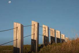 Imagen de apoyo de  Fue abierta una investigacion contra servidores de Turbo por presunta apropiacion de terrenos baldios