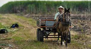 Imagen de apoyo de  Medidas de alivio especial a deudores del Fondo de Solidaridad Agropecuario y del Programa Nacional de Reactivacion Agropecuaria