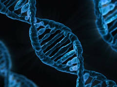 Imagen de apoyo de  Un grupo de expertos de la UNESCO pide la prohibicion de la modificacion del ADN humano para evitar una manipulacion inmoral de los rasgos hereditarios