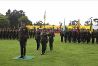 Imagen de apoyo de  El retiro del servicio activo del ejercito nacional debe estar encaminado al mejoramiento del servicio en la entidad y propender por los intereses generales de la misma