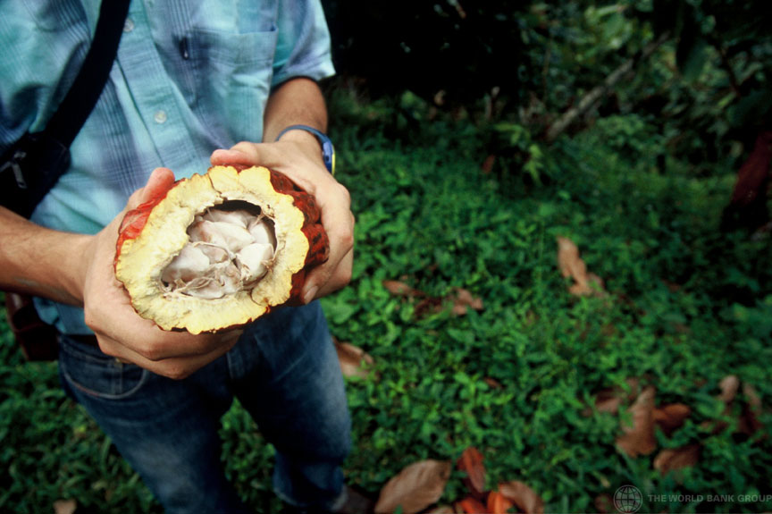 Imagen de apoyo de El comercio agroalimentario se contrae por segundo ao consecutivo en America Latina informa la FAO