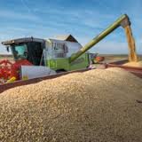 Imagen de apoyo de  Productos cultivados por victimas del conflicto llegan a la estanteria de Almacenes Exito