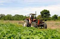 Imagen de apoyo de  Se adicionan unas disposiciones al Decreto 1071 de 2015 medidas para garantizar la continuidad del recaudo e inversion de los recursos de los fondos parafiscales del sector agropecuario y pesquero