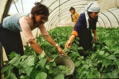 Imagen de apoyo de  Las mujeres en la agricultura La cocina les abre el camino hacia el empoderamiento y la visibilidad