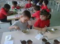 Imagen de apoyo de Se establecen las condiciones del reporte de informacion para el seguimiento y monitoreo a los recursos destinados a la alimentacion escolar en los establecimientos educativos oficiales en el pais