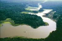 Imagen de apoyo de  Proteger la Amazonia nos compete a todos y es una medida efectiva para enfrentar el cambio climatico