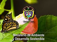 Imagen de apoyo de  La facultad para establecer lineamientos de caracter general de actividades economicas que velen por el desarrollo de los recursos naturales es del Ministerio del Medio Ambiente