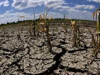 Imagen de apoyo de  Los factores perturbadores del medio ambiente pueden causar daos irreparables en los seres humanos
