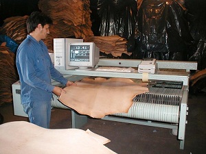 Imagen de apoyo de  Estas son las nuevas medidas transitorias sobre exportaciones de cuero y pieles en bruto y en estado humedo en azul