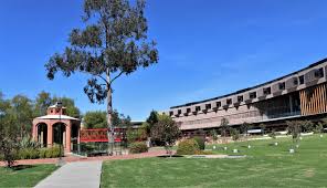 Imagen de apoyo de  Unisabana obtiene patente de invencion por producto alternativo a grasas saturadas