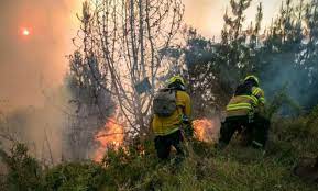 Imagen de apoyo de Es solicitado al alcalde de Bogota unas acciones urgentes por deterioro en calidad del aire por incendios en la ciudad