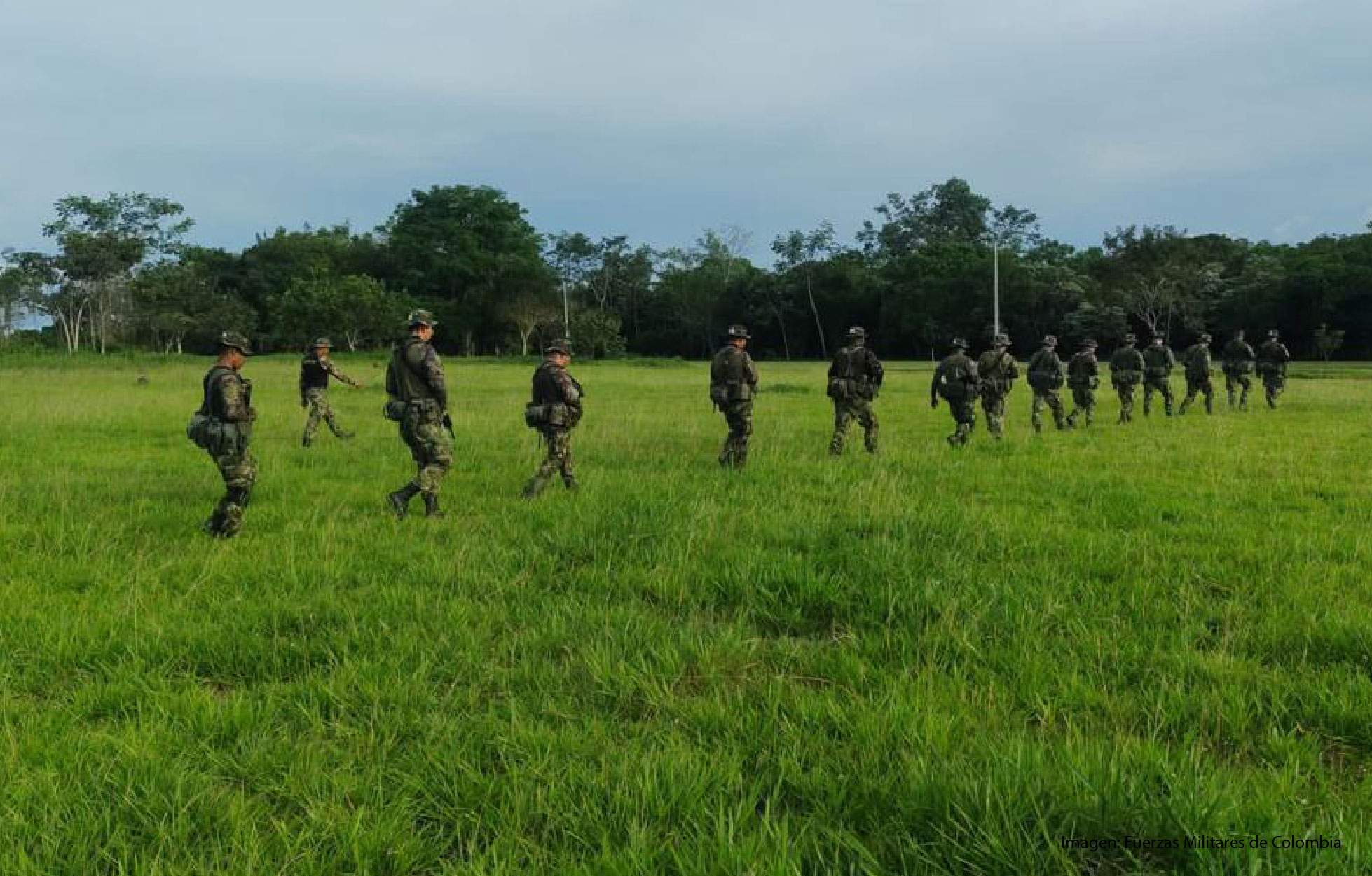 Imagen de apoyo de  Fuerzas Militares gozan de discrecionalidad para regular la vinculacion o desvinculacion de sus miembros