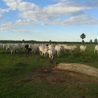 Imagen de apoyo de  Aprobada linea especial de credito para la Agricultura por Contrato