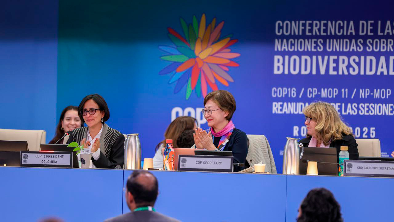 Imagen de apoyo de  COP16 logro historico sobre financiamiento y monitoreo de la biodiversidad mundial