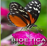 Imagen de apoyo de  UNESCO y la Facultad de Derecho de Victoria acuerdan capacitar en bioetica