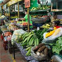 Imagen de apoyo de  En IVA renta y pensiones empezaria ajuste a la ley de financiamiento