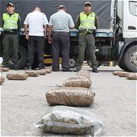 Imagen de apoyo de Mediante decreto se reglamenta la prohibicion de poseer tener entregar distribuir o comercializar drogas o sustancias prohibidas