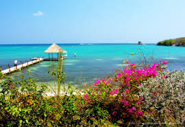 Imagen de apoyo de  Fue iniciada una accion preventiva para proteger ecosistema y visitantes del Parque Natural Corales del Rosario por daos en estructuras peatonales