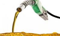 Imagen de apoyo de  Senadora Sandra Ortiz lidera la lucha contra altos costos del combustible