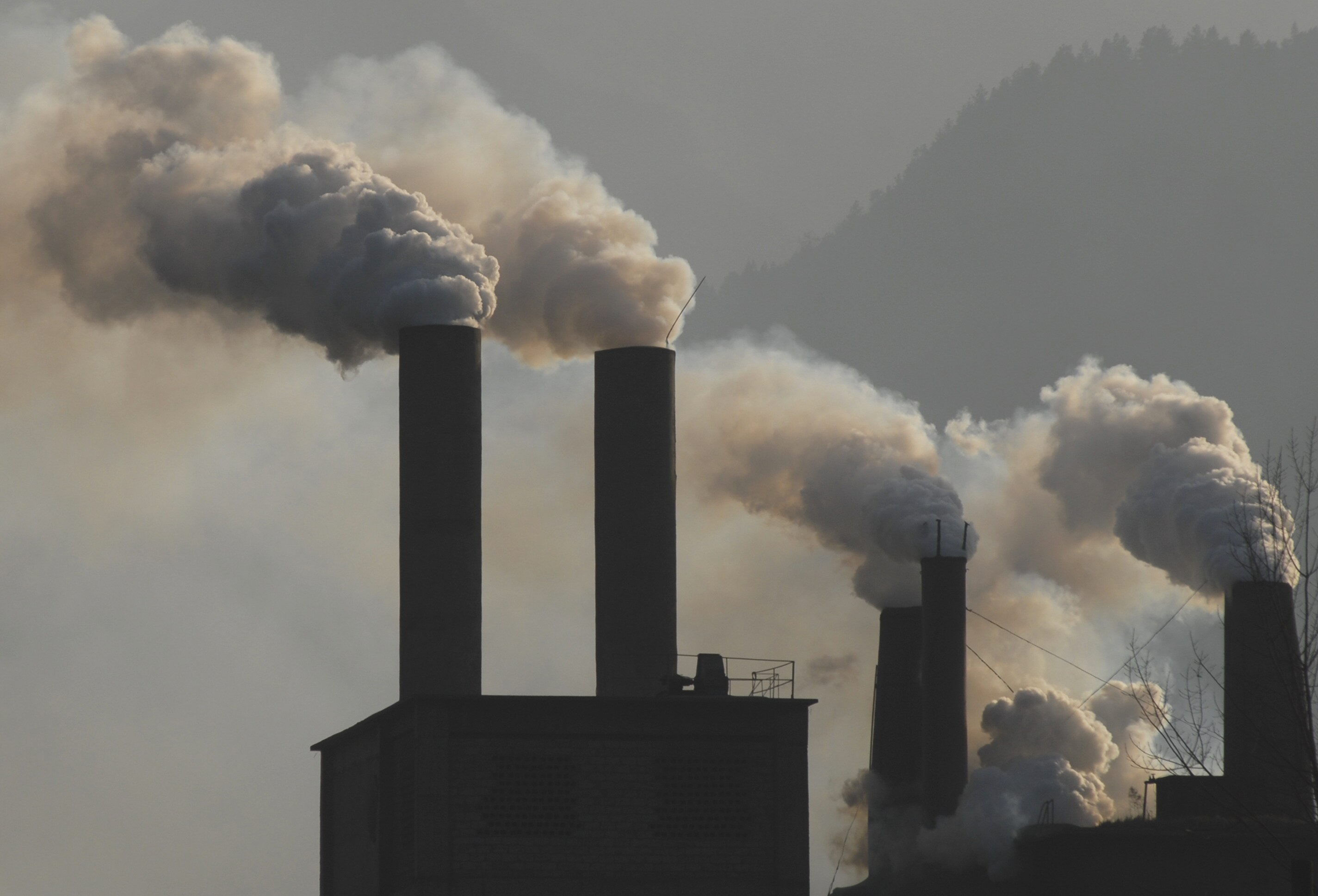 Imagen de apoyo de  Gobierno Nacional aprueba decreto sobre Cambio Climatico