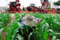 Imagen de apoyo de  Las Empresas productoras y comercializadoras de productos agricolas aplicaran la autorretencion a titulo de impuesto sobre la renta para la equidadCREE