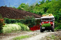 Imagen de apoyo de  Conpes aprueba 100 mil millones de pesos para preservar el Paisaje Cultural Cafetero