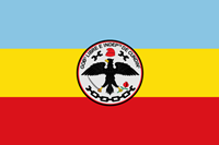 Imagen de apoyo de La Nacion se asocia a la conmemoracion del Bicentenario de la Independencia de Cundinamarca