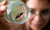 Imagen de apoyo de  Municipios de Colombia bloquearon la transmision de la enfermedad de Chagas