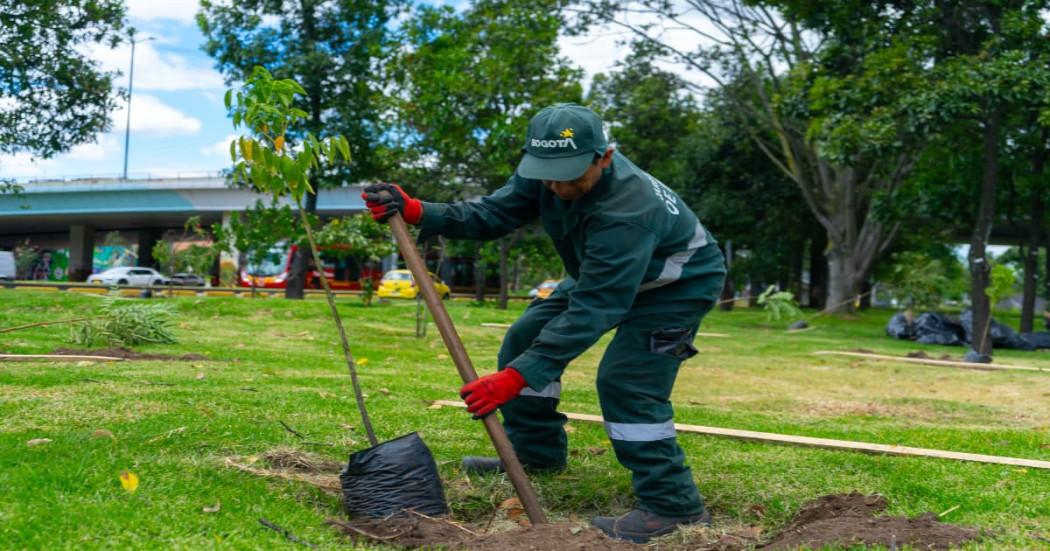 Imagen de apoyo de  El Jardin Botanico lidera el mantenimiento y la arborizacion de Bogota