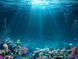 Imagen de apoyo de  Son solicitados a los paises oceanicos a asumir compromisos colectivos con el recurso maritimo