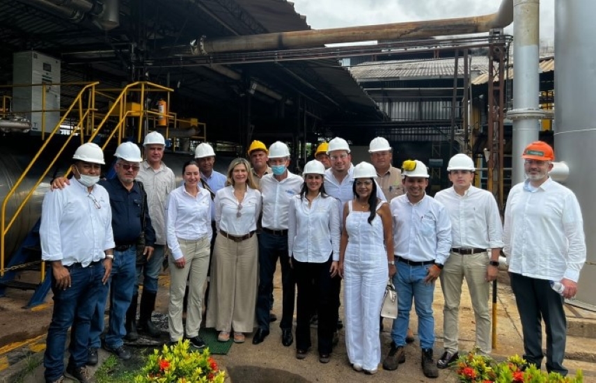 Imagen de apoyo de  Alrededor de 29 mil trabajadores se beneficiarian con alianza entre MinTrabajo y el sector palmicultor en Colombia
