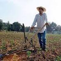 Imagen de apoyo de  Ley de Tierras seria aprobada en primer trimestre de 2018