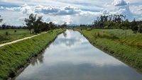 Imagen de apoyo de Aguas de Bogota esta descontaminando el rio Bogota