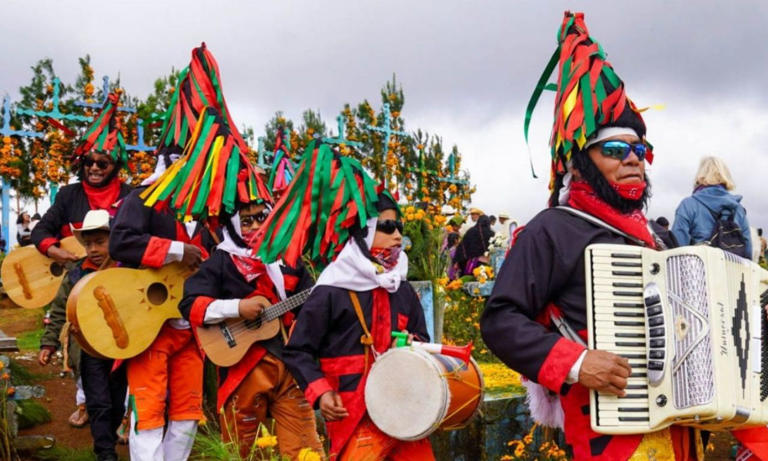 Imagen de apoyo de  Ley de Amnistia traducida a 18 lenguas indigenas