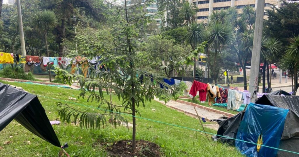 Imagen de apoyo de  Jardin Botanico alerta sobre graves daos en el Parque Nacional y su ecosistema
