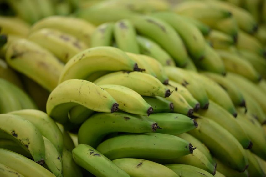 Imagen de apoyo de  Impulso de exportaciones agropecuarias y alimentos en julio con Cafe banano y aceite de palma