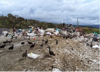 Imagen de apoyo de Procuraduria pide medidas urgentes al alcalde de Buenaventura para evitar emergencia sanitaria