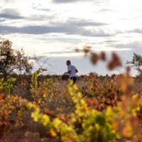Imagen de apoyo de Trabajamos en la promocion de la agricultura y comercio sostenible Marcela Uruea