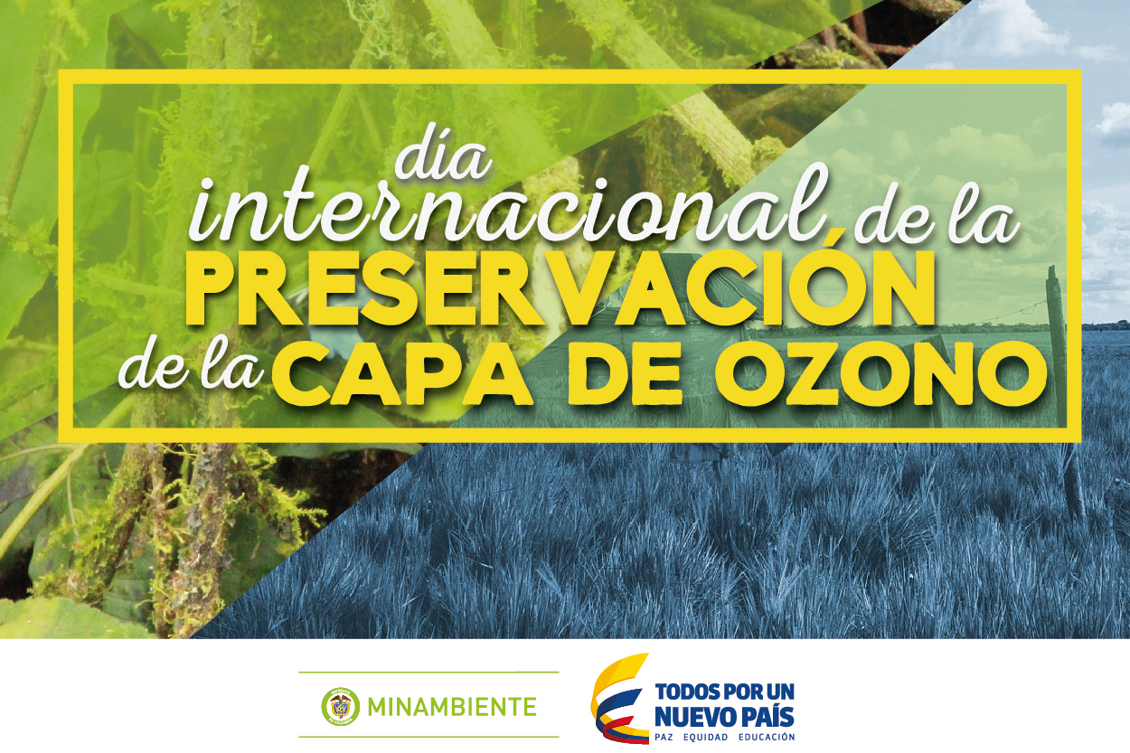 Imagen de apoyo de  Con olimpiada ambiental Colombia conmemora Dia Internacional de la Capa de Ozono
