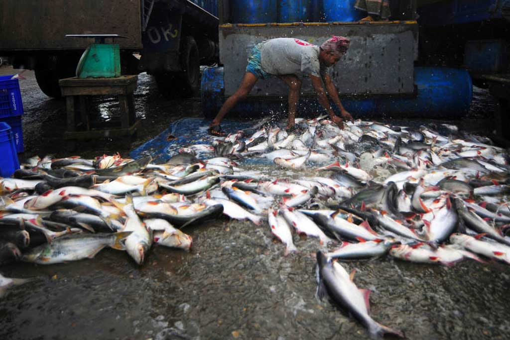 Imagen de apoyo de  Paises de America Latina se suman al acuerdo mundial contra la pesca ilegal